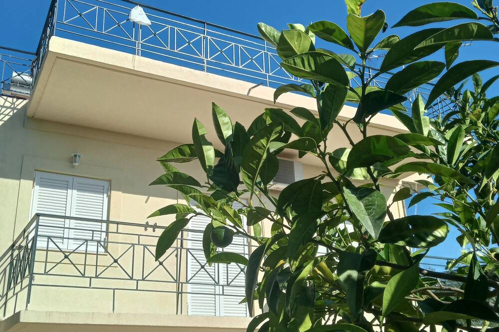 Photo of Outdoor in East Mani