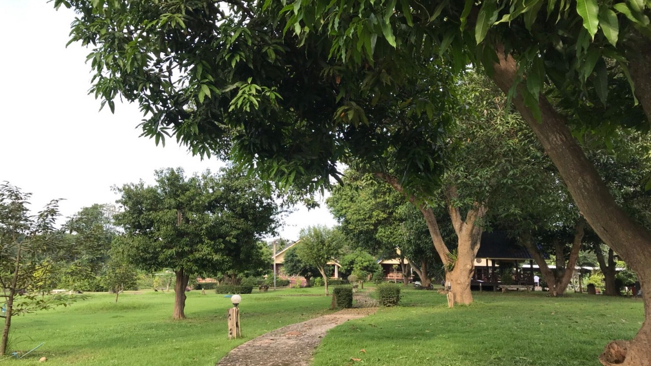 Photo of Outdoor in Sai Yok