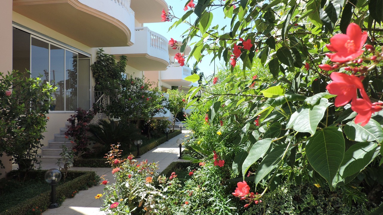 Photo of Outdoor in Kamisiana