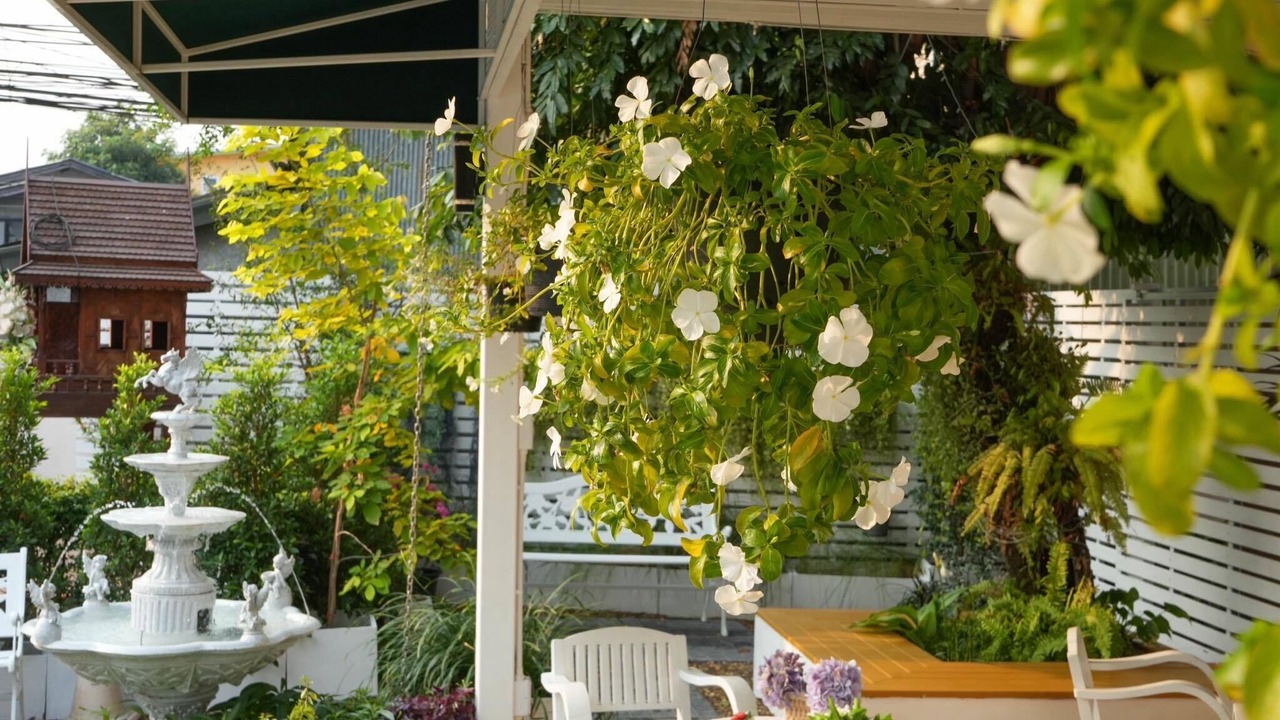 Photo of Patio Balcony in Wat Ket