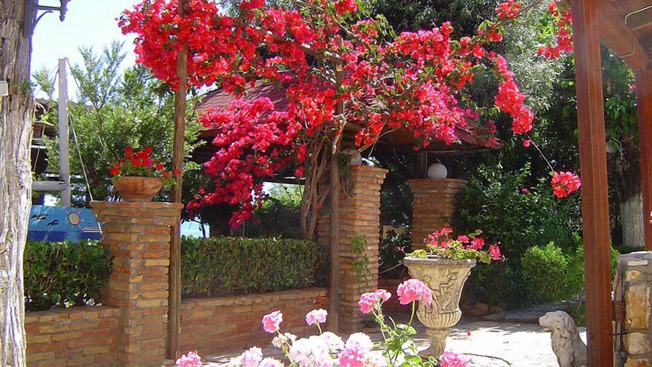 Photo of Outdoor in Alissos