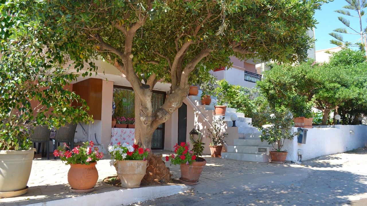 Photo of Outdoor in Kato Stalos