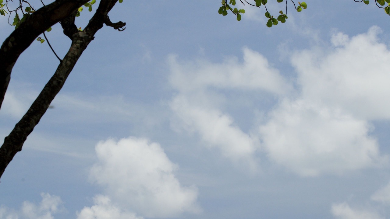 Photo of Others in Khao Lak