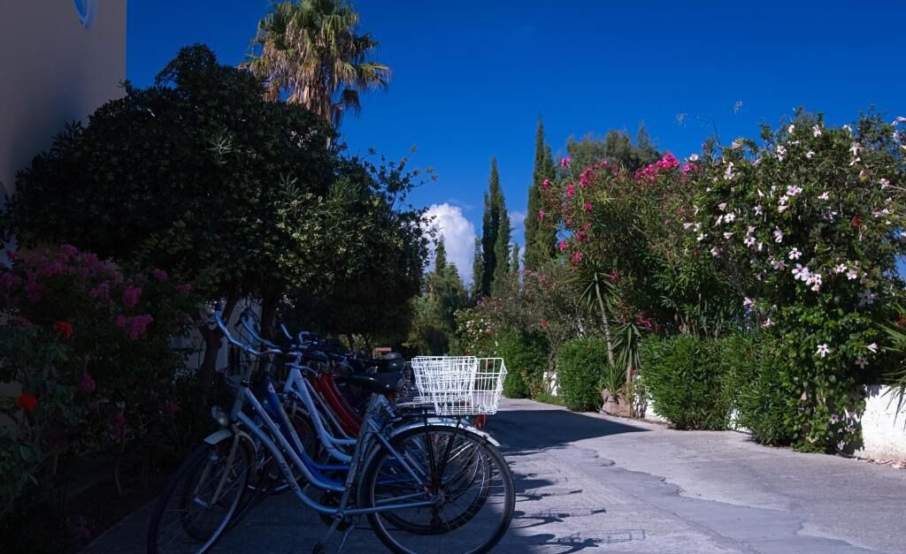 Photo of Outdoor in Lambi