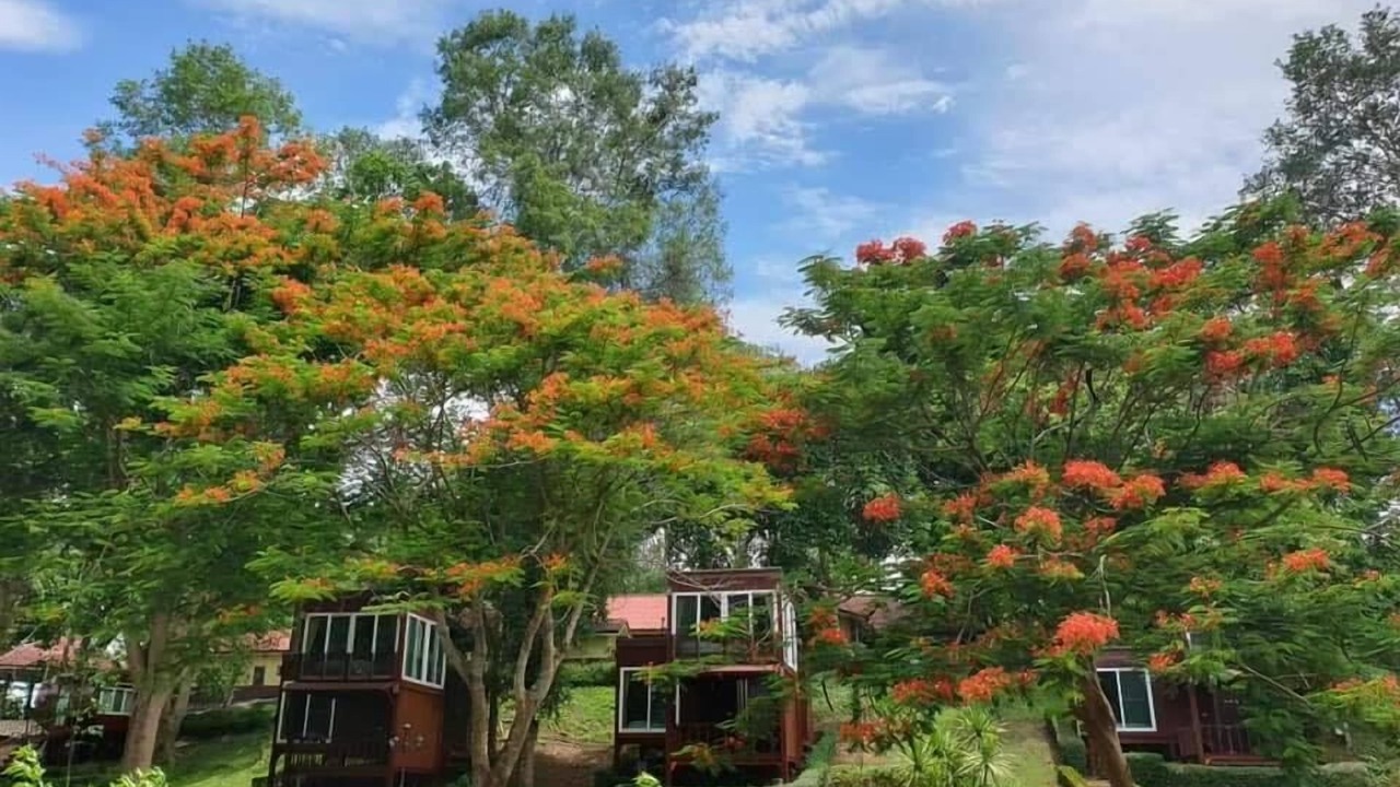 Photo of Outdoor in Sai Yok