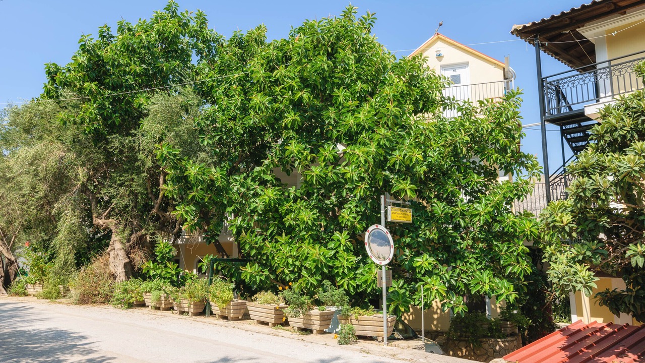 Photo of Outdoor in Limni Keri