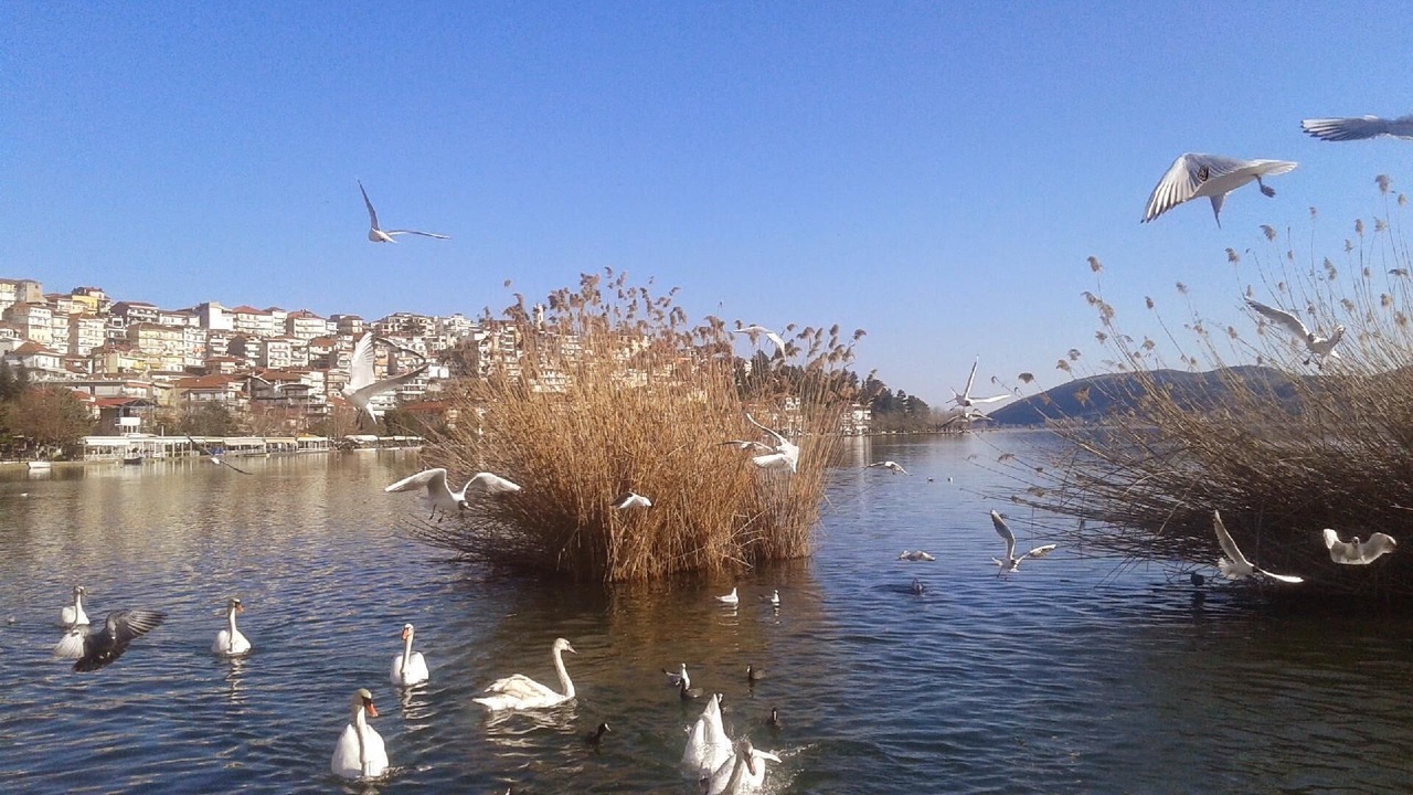 Photo of Outdoor in Sidirochori