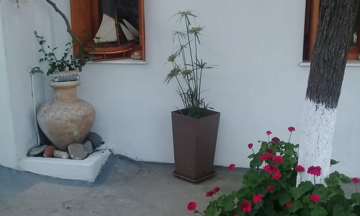 Photo of Outdoor in Skiros