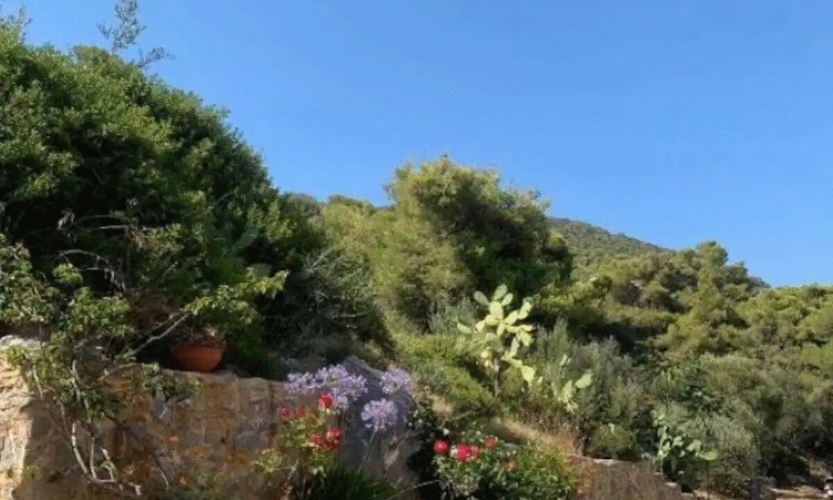 Photo of Outdoor in Poros