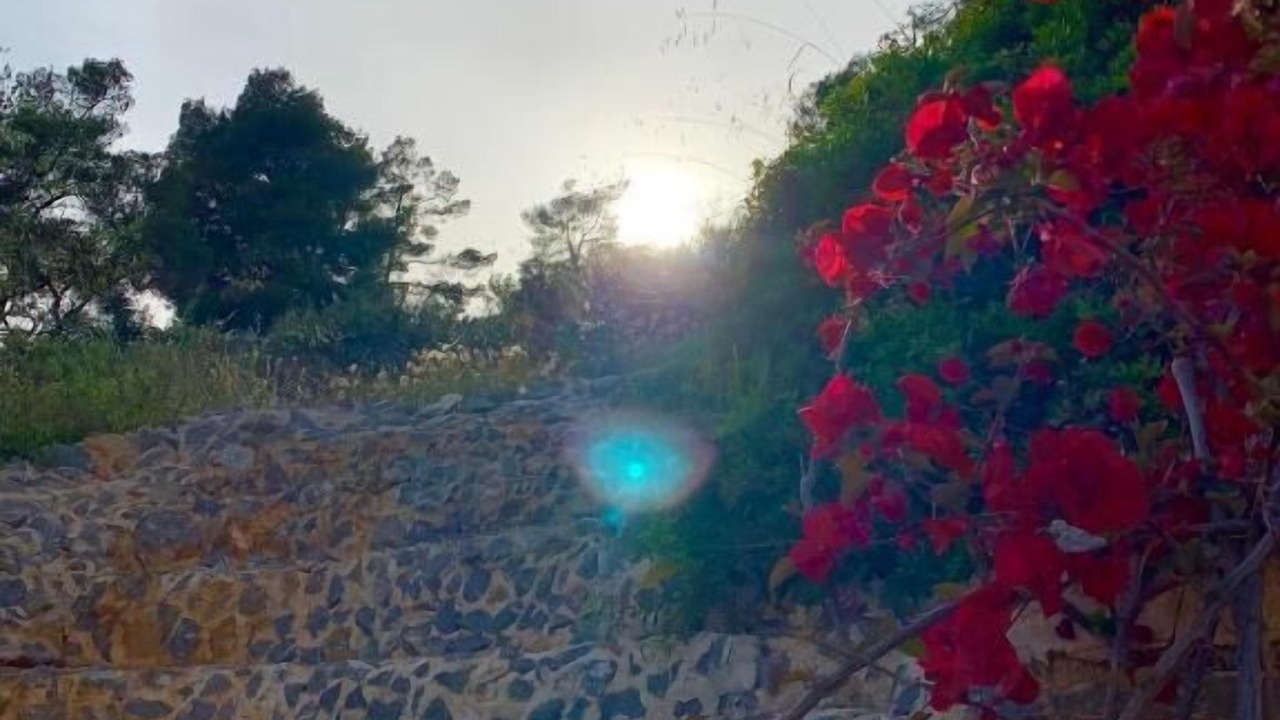 Photo of Outdoor in Poros