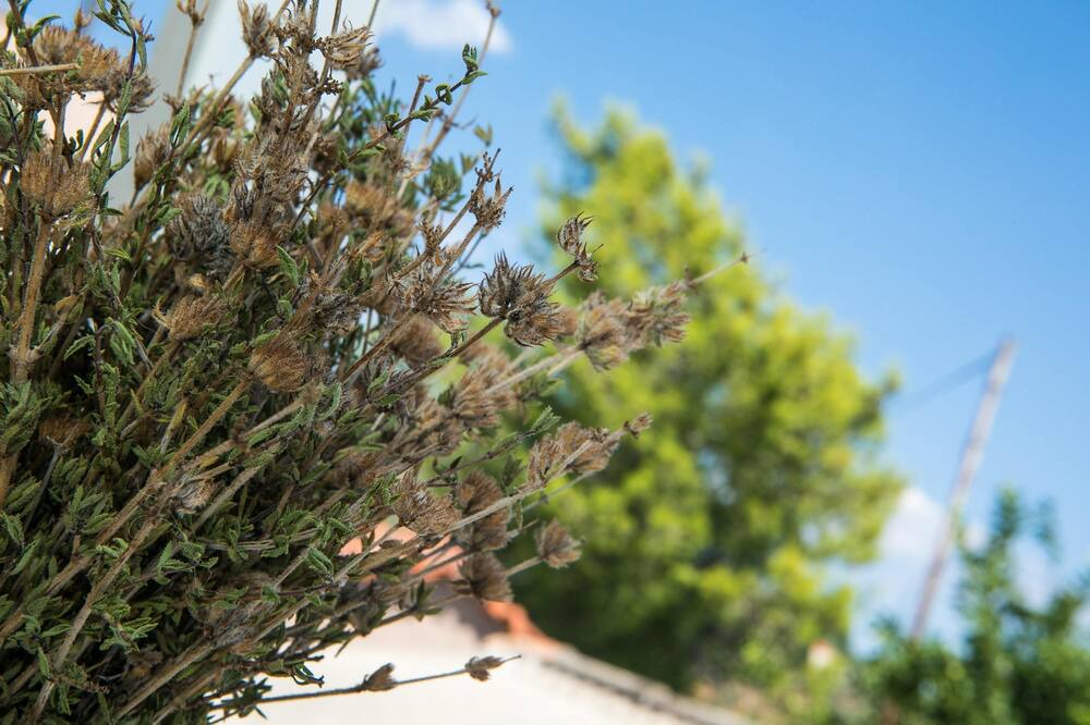 Photo of Outdoor in Karvelas