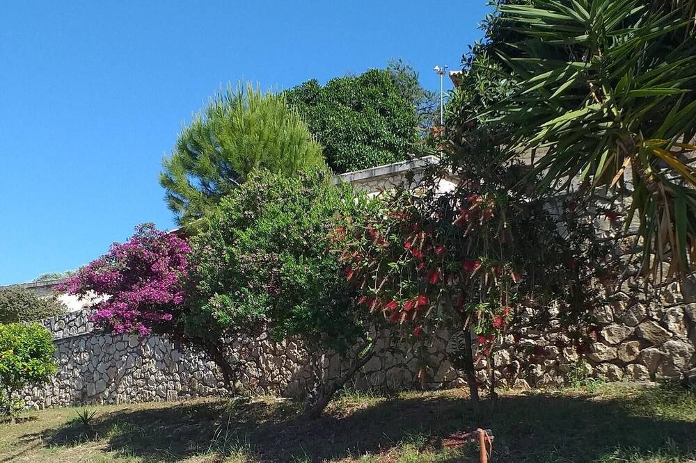 Photo of Outdoor in Limni Keri