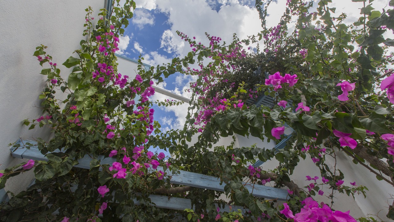 Photo of Outdoor in Kamari