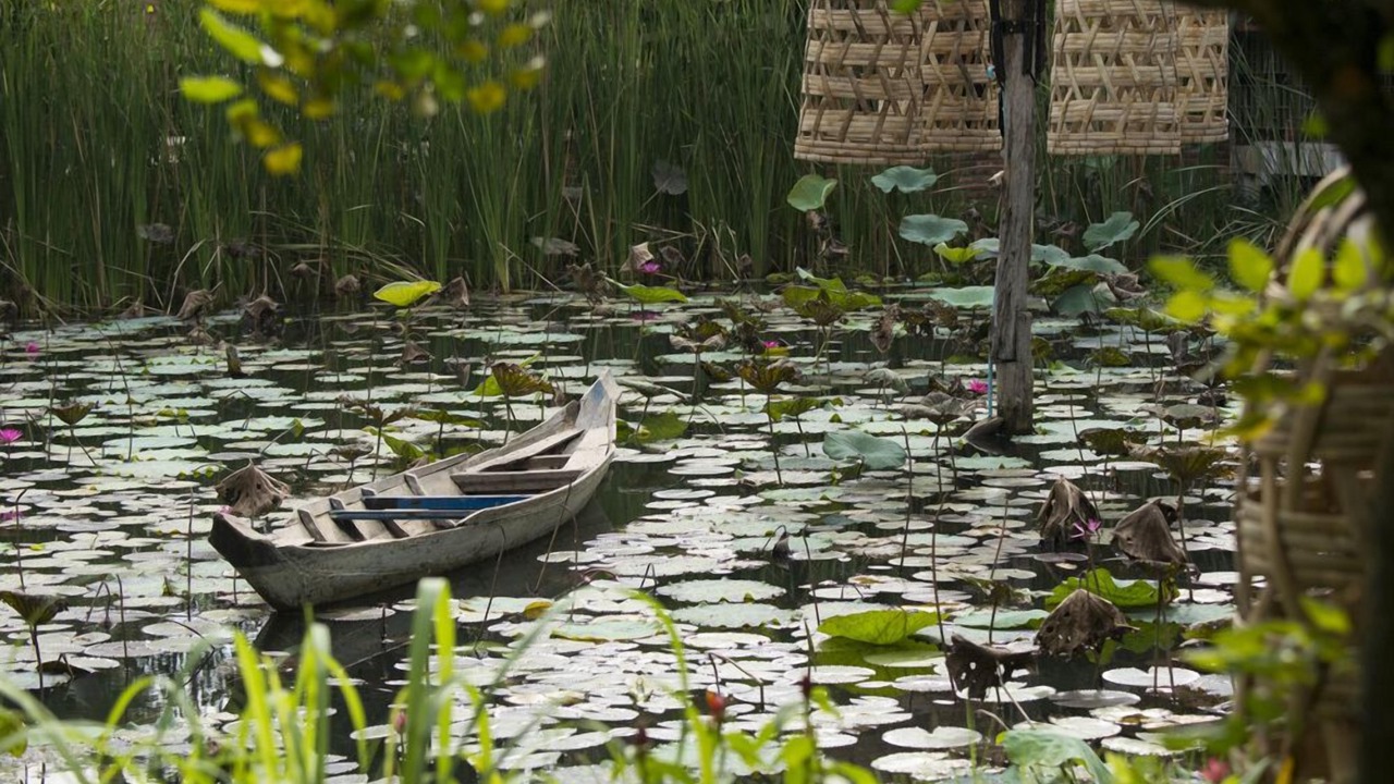 Photo of Outdoor in Svay Pao