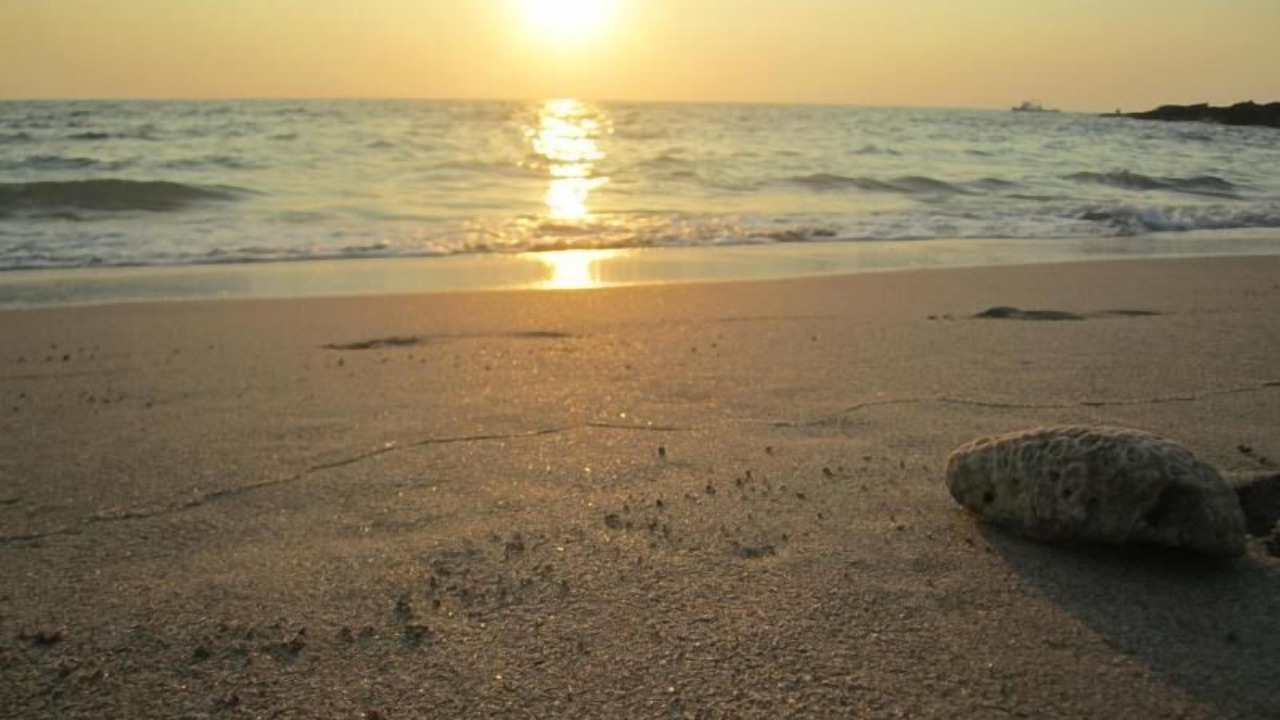 Photo of Others in Ko Lanta