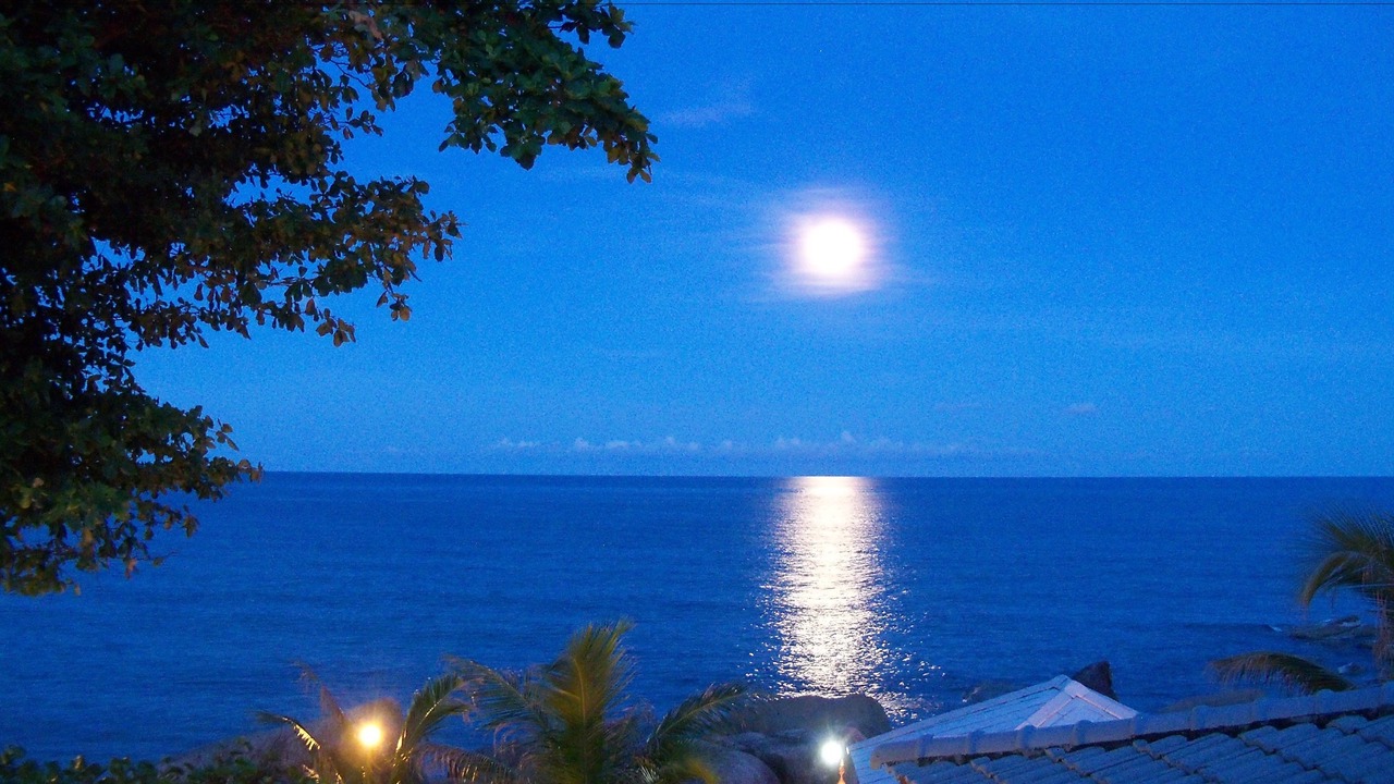 Photo of Outdoor in Lamai