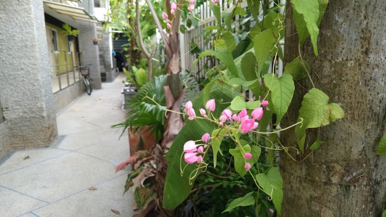Photo of Outdoor in Kathu