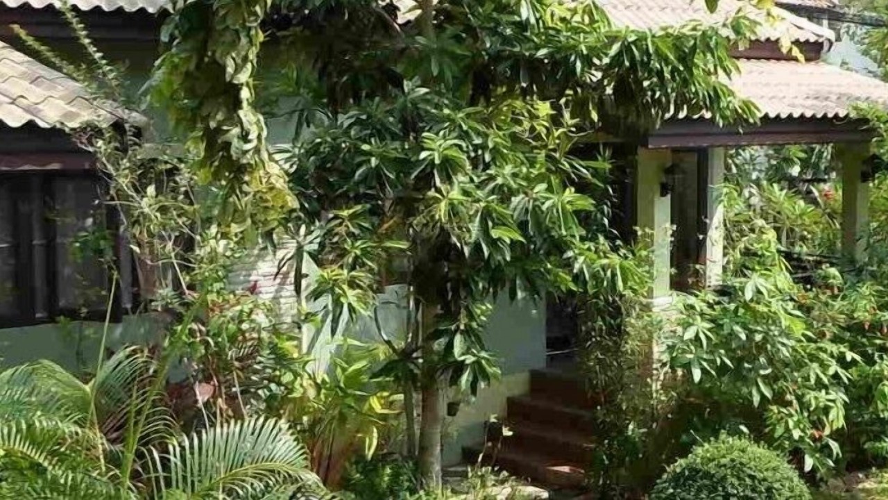 Photo of Outdoor in Lamai