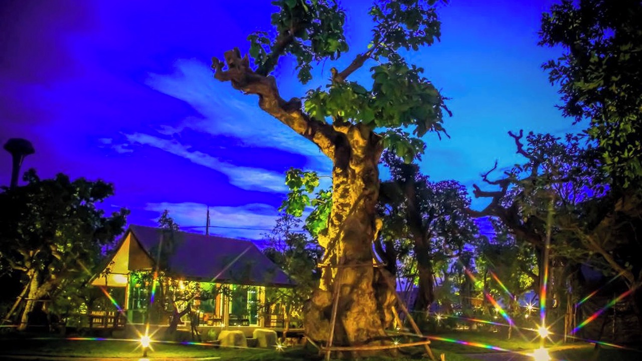 Photo of Outdoor in Phitsanulok