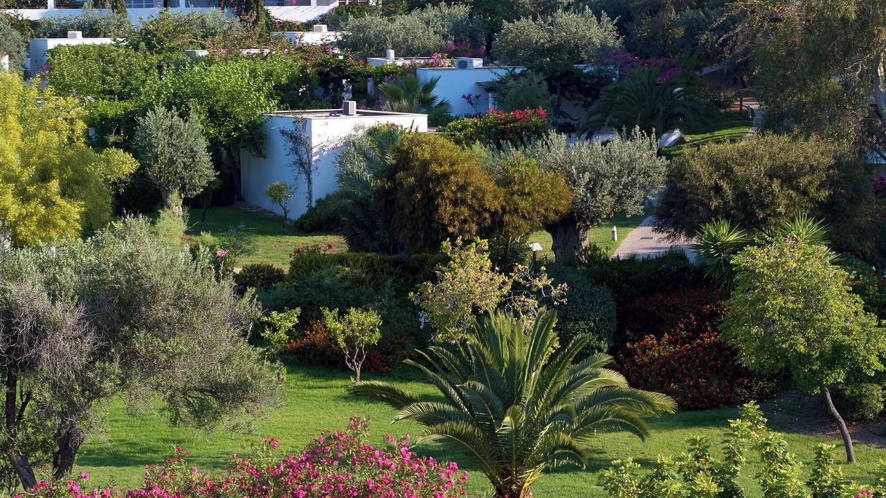 Photo of Outdoor in Plepi