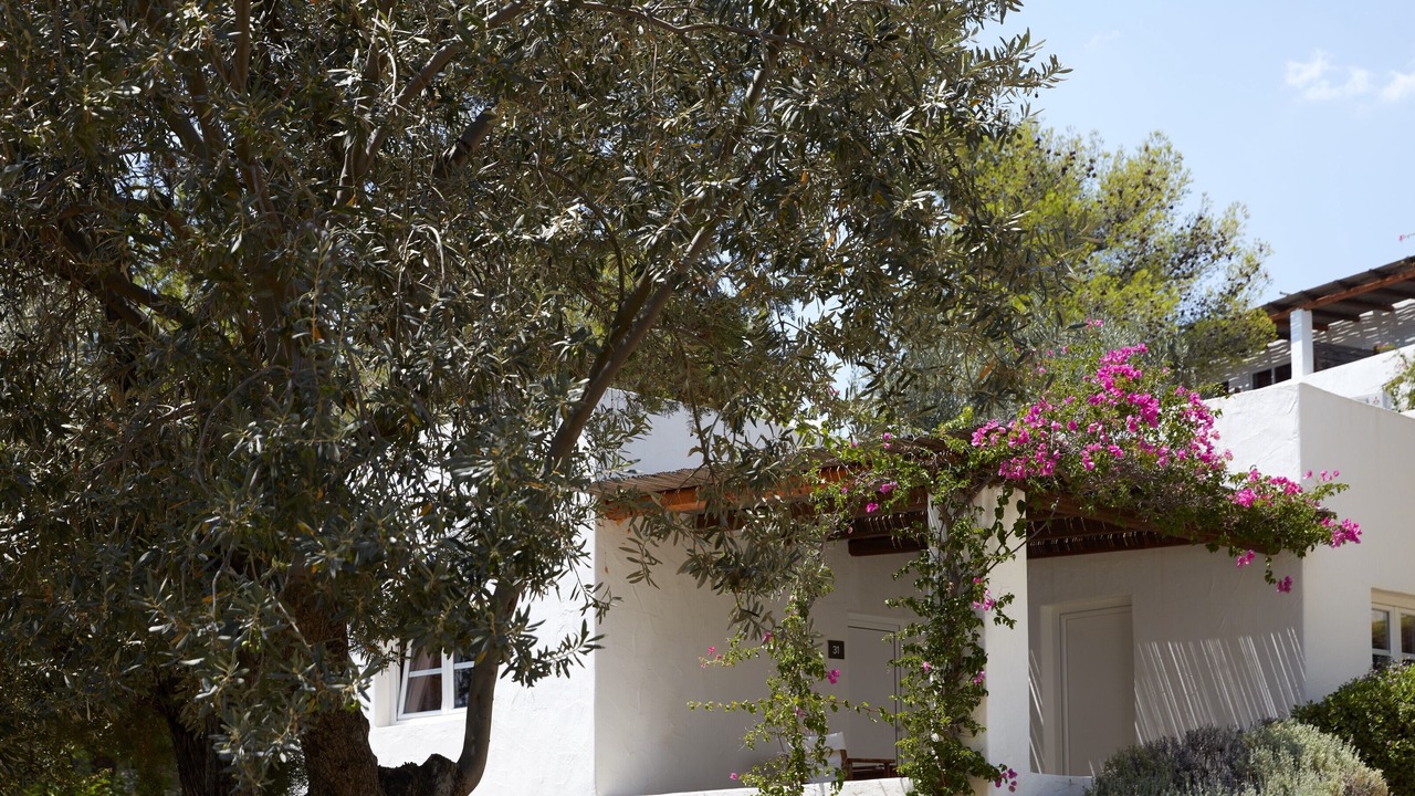 Photo of Patio Balcony in Plepi