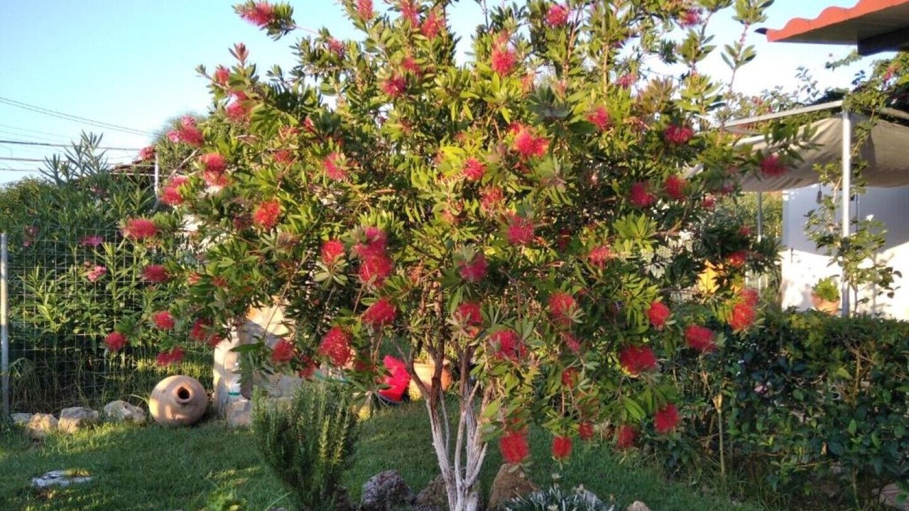 Photo of Outdoor in Notos