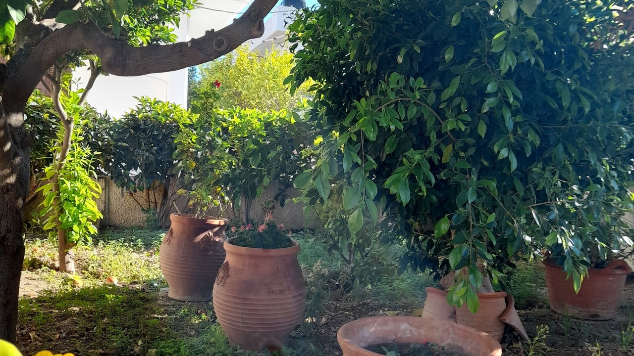 Photo of Outdoor in Perdhika
