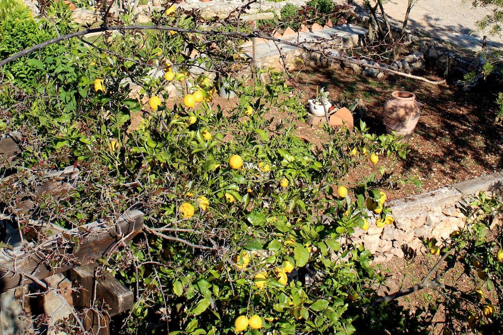 Photo of Outdoor in Kefalonia