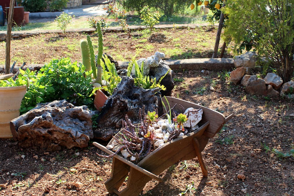 Photo of Outdoor in Kefalonia