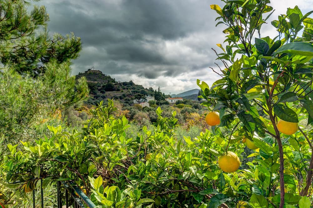 Photo of Outdoor in Prina