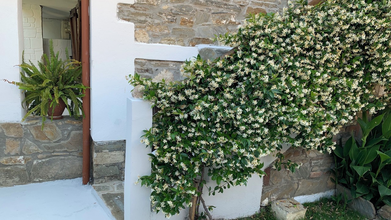 Photo of Patio Balcony in Agios Nikolaos