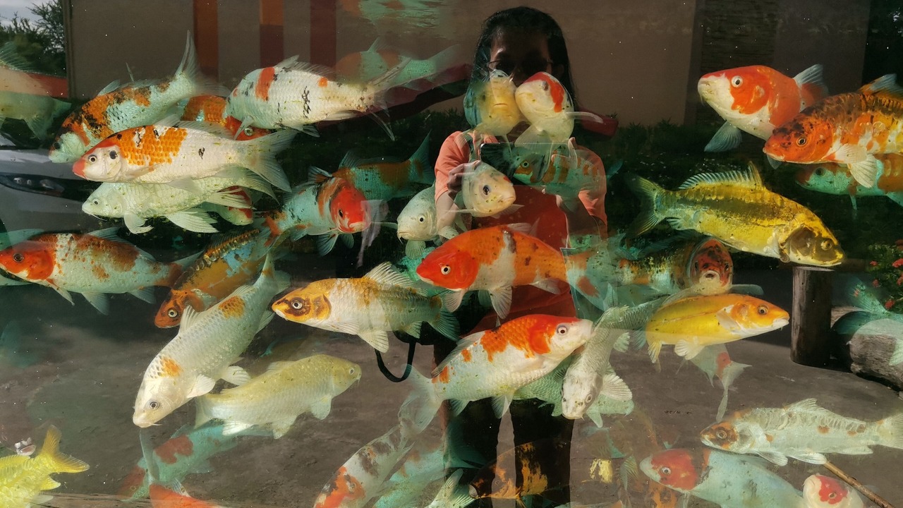 Photo of Others in Bang Sao Thong