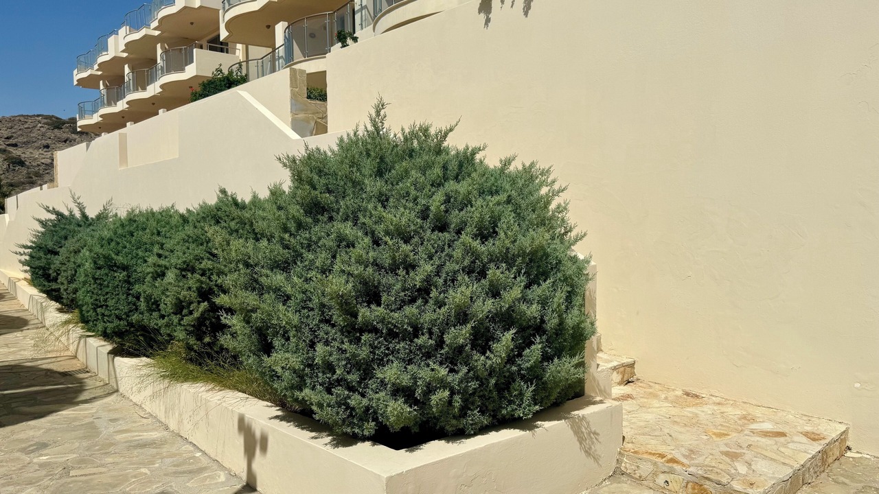 Photo of Others in Makry Gialos