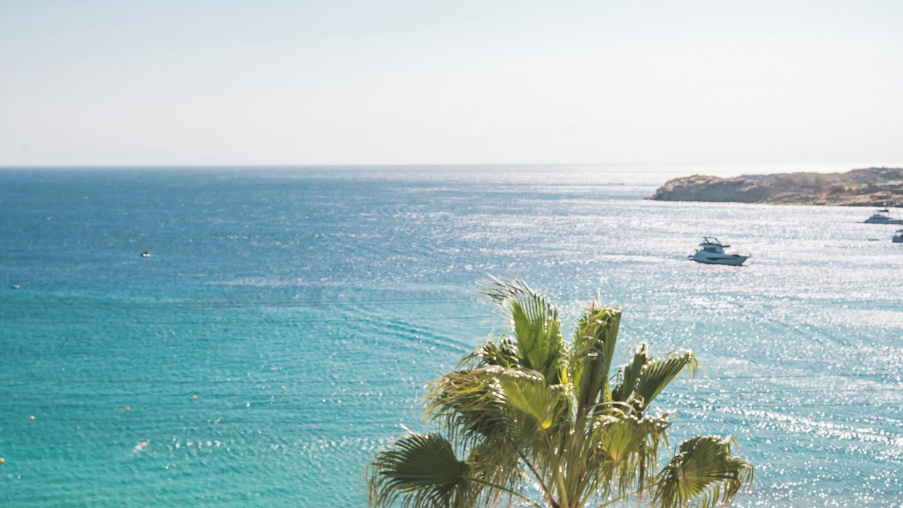 Photo of Others in Paradise