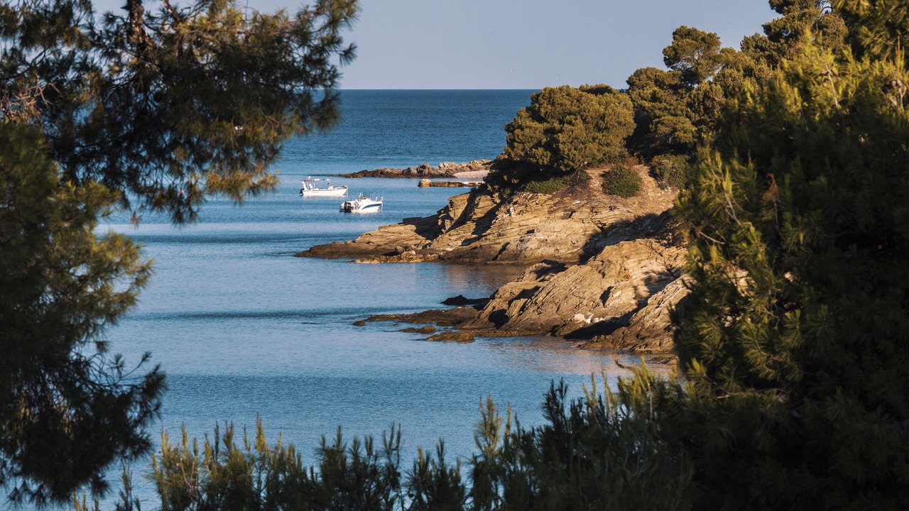 Photo of Others in Elia Nikitis