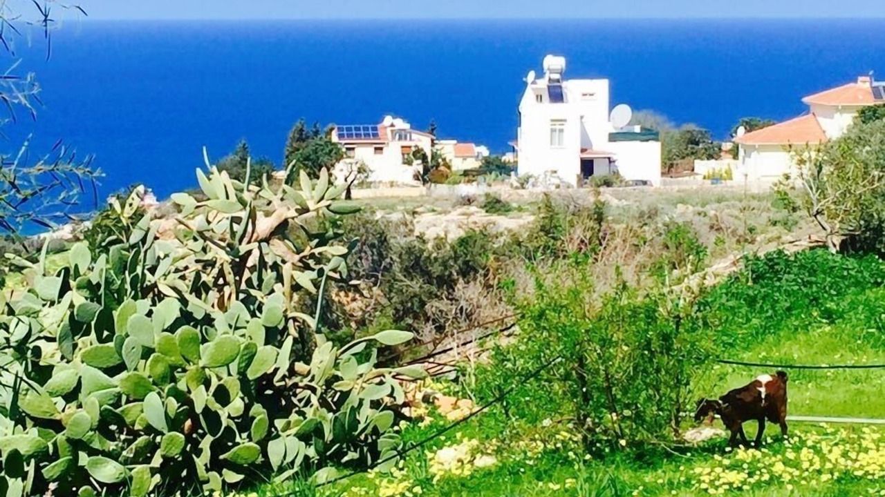 Photo of Outdoor in Esentepe