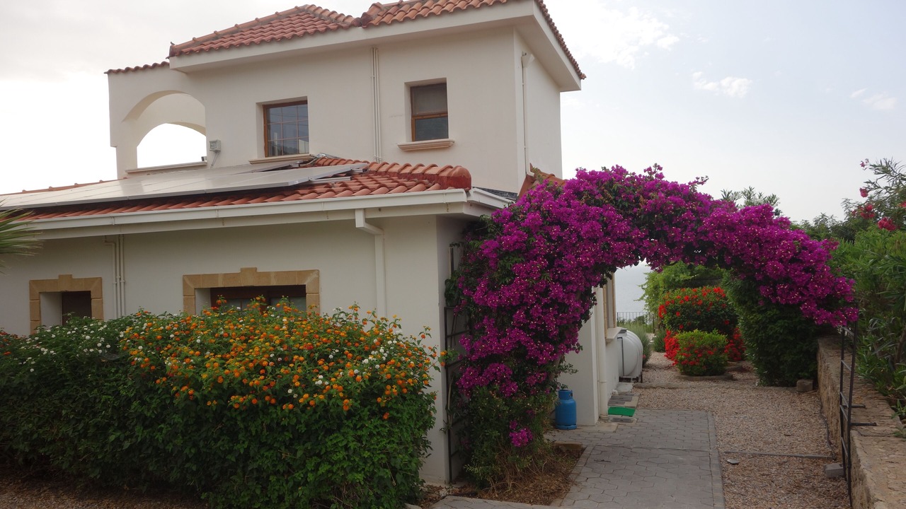 Photo of Outdoor in Esentepe