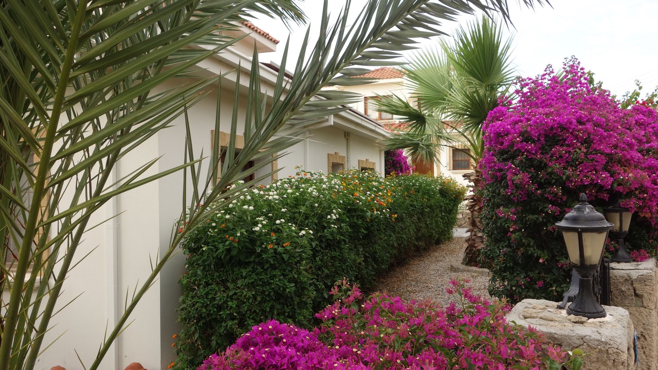 Photo of Outdoor in Esentepe