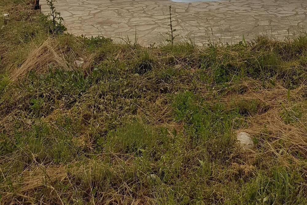 Photo of Outdoor in Vasilitsion