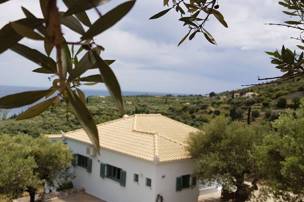 Photo of Outdoor in Vasilitsion