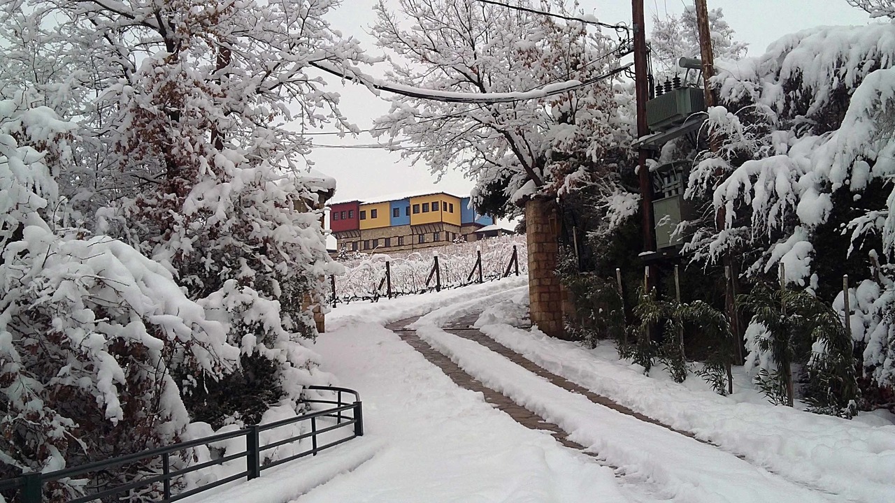 Photo of Outdoor in Vergina