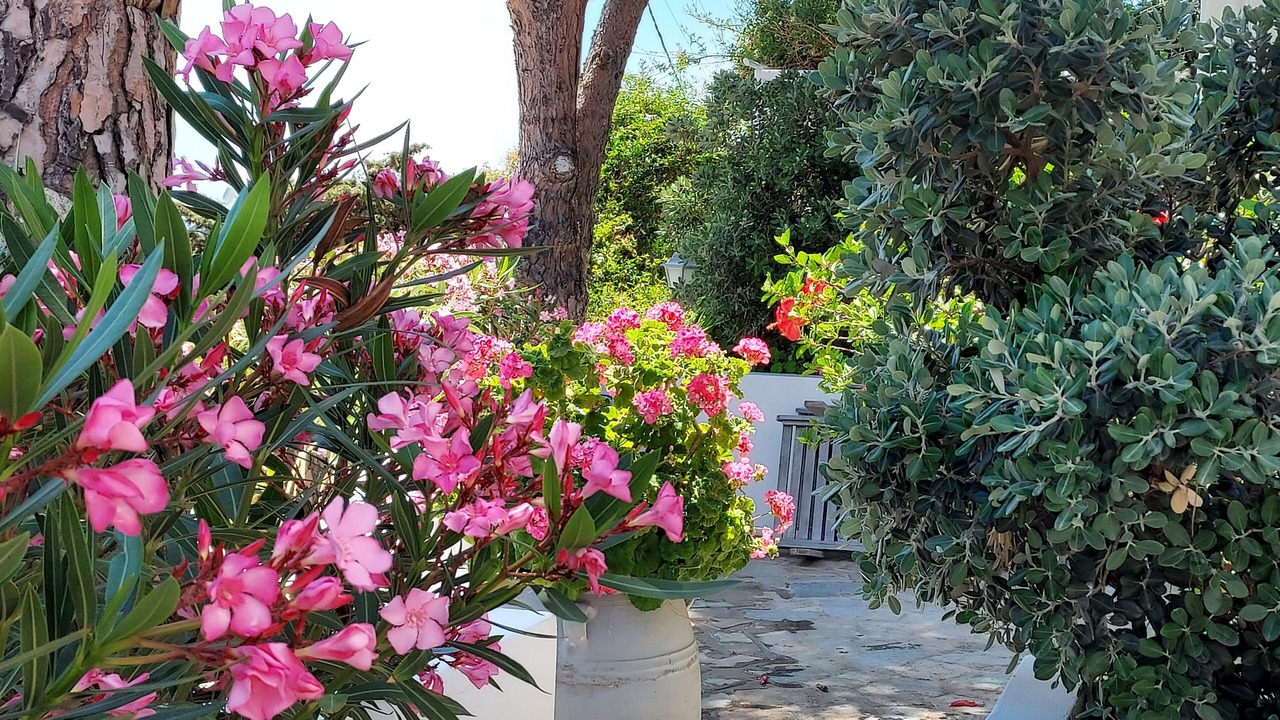 Photo of Outdoor in Mpatsi
