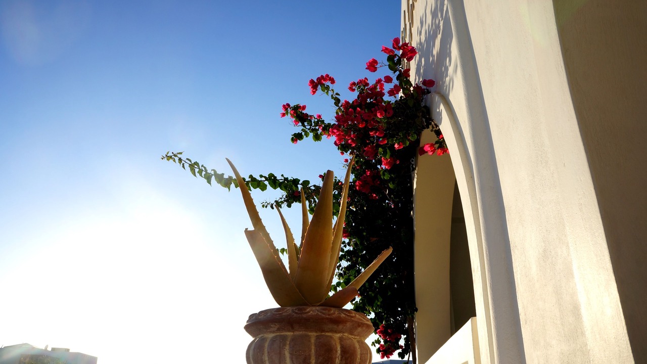 Photo of Others in Plaka