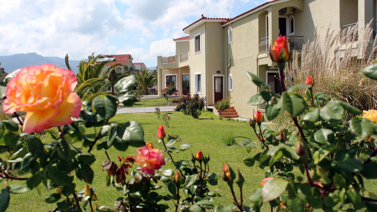 Photo of Outdoor in Skala Kallonis