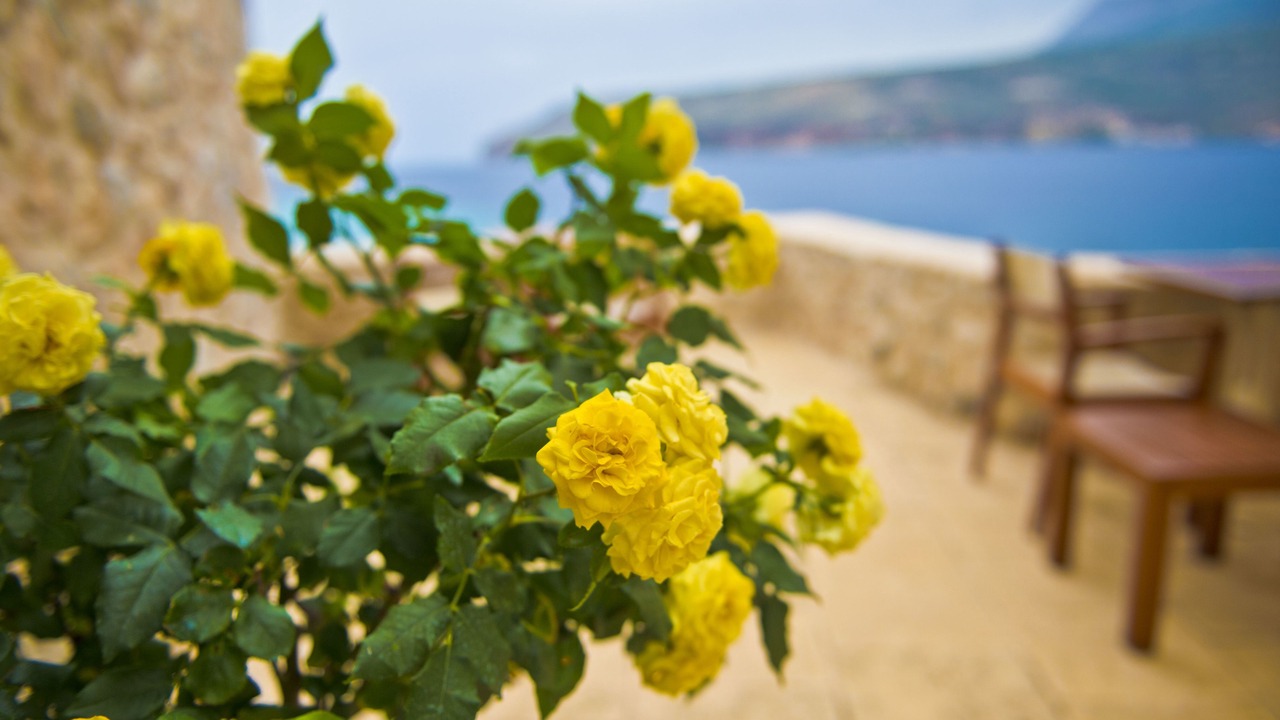 Photo of Outdoor in Limeni