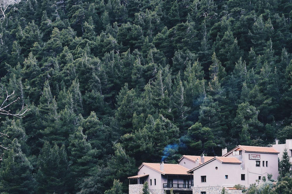 Photo of Outdoor in Steni