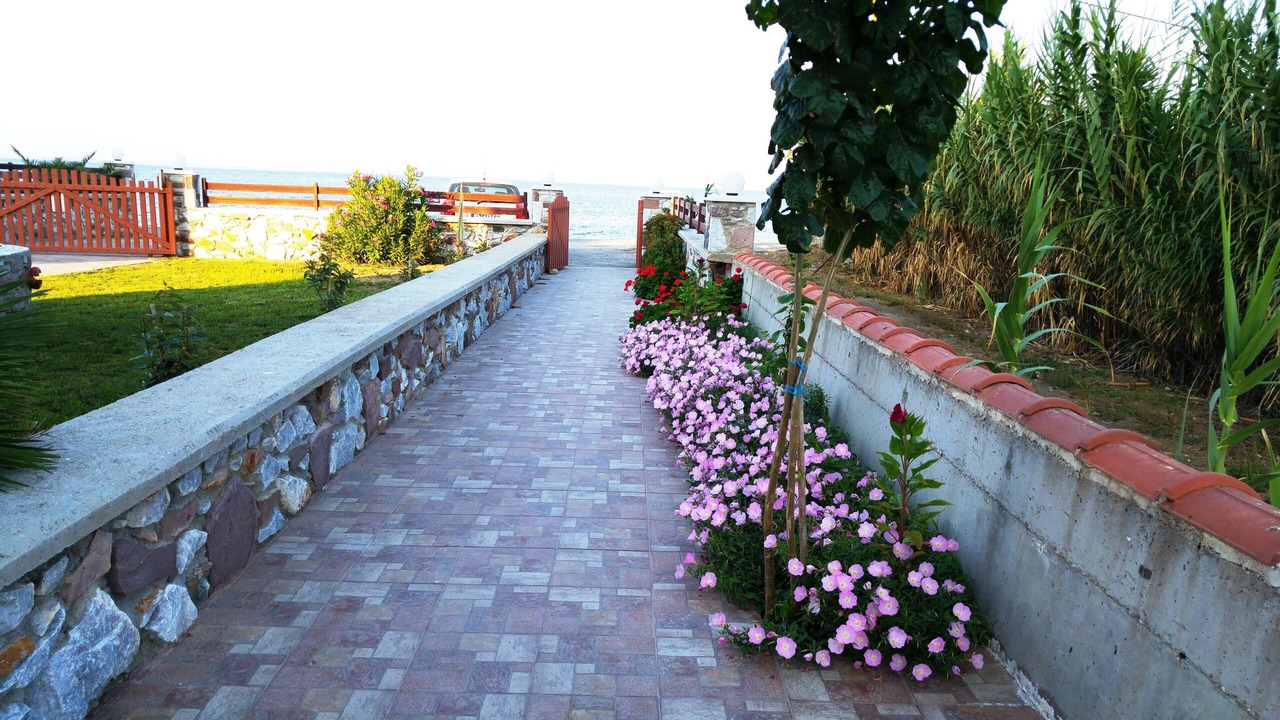 Photo of Outdoor in Skala Neon Kidonion