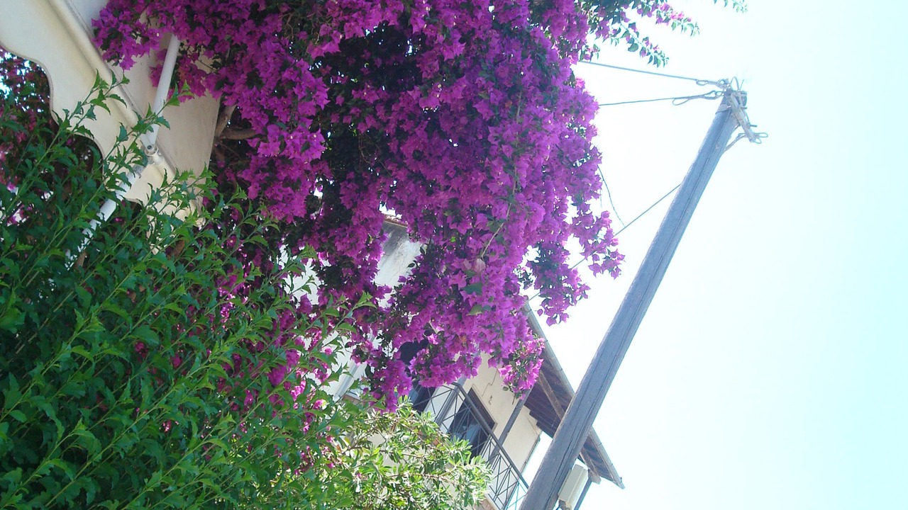 Photo of Outdoor in Lygia