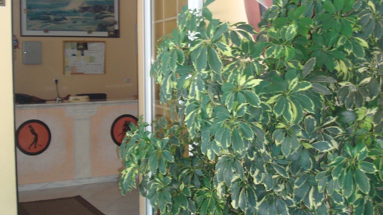 Photo of Outdoor in Lygia