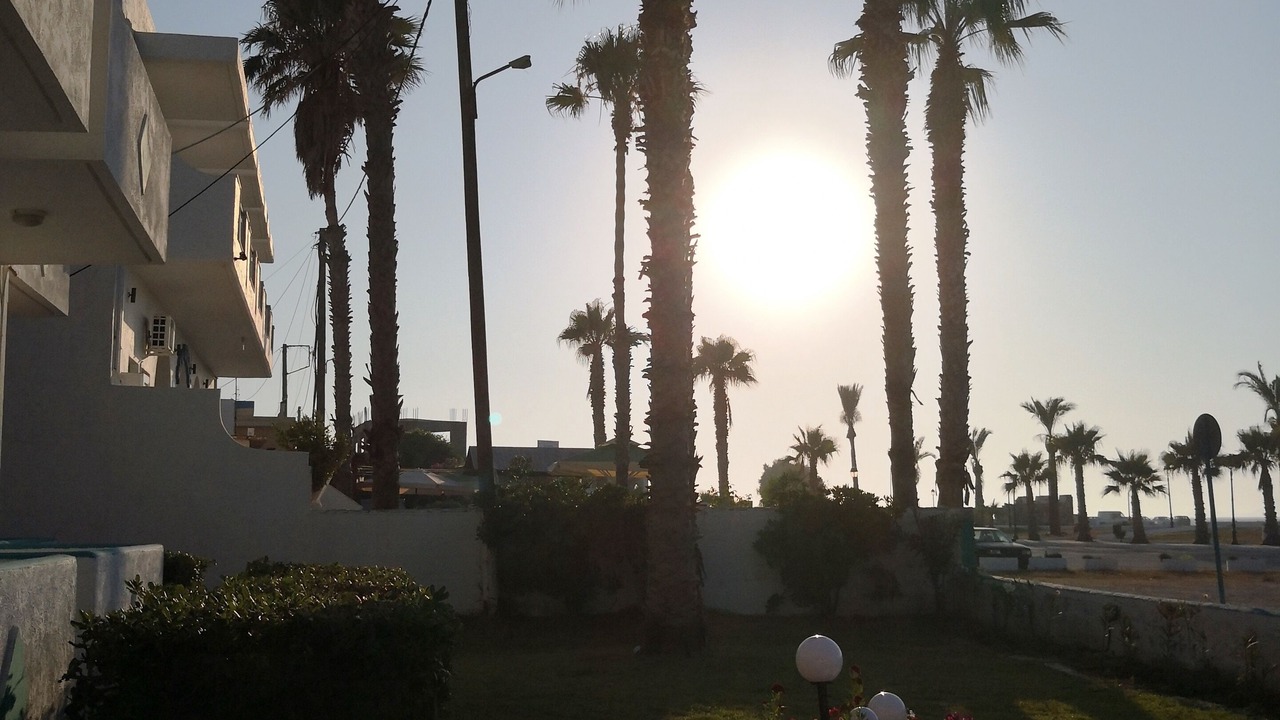Photo of Others in Mastichari